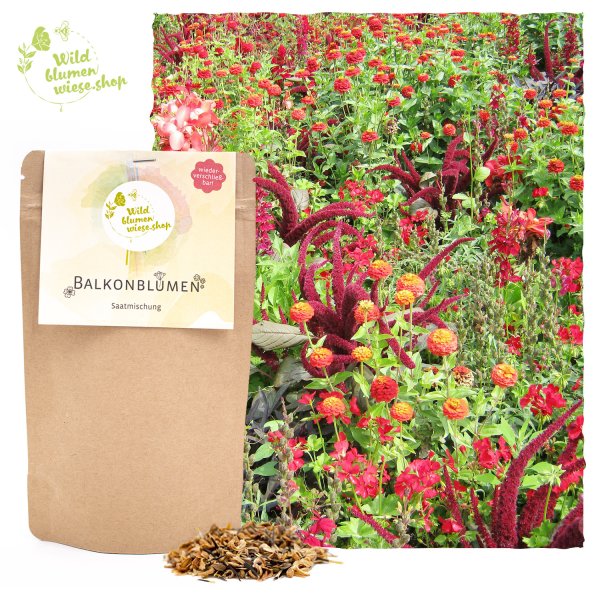 Bienenfreundliche Balkonpflanzen - PREMIUM Samen-Mix für Balkonblumen